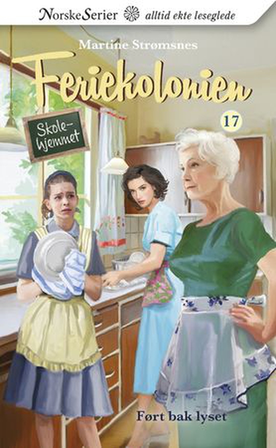 Ført bak lyset (ebok) av Martine Strømsnes