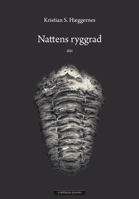 Nattens ryggrad (ebok) av Kristian S. Hæggernes