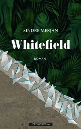 Whitefield (ebok) av Sindre Mekjan