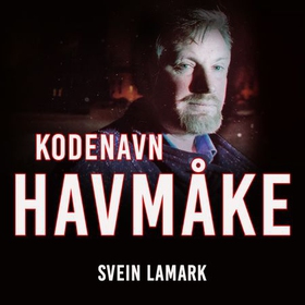 Kodenavn havmåke