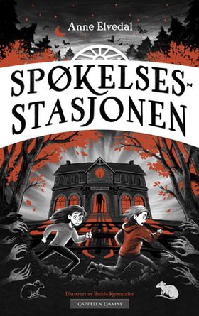 Spøkelsesstasjonen