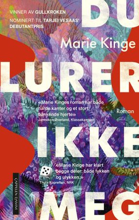 Du lurer ikke meg - roman (ebok) av Marie Kinge