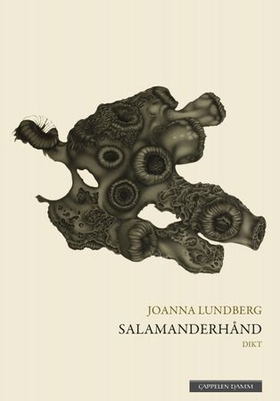 Salamanderhånd (ebok) av Joanna Lundberg