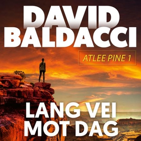 Lang vei mot dag (lydbok) av David Baldacci