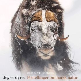 Jeg er dyret - fortellinger om norsk natur (lydbok) av Ole Mathismoen