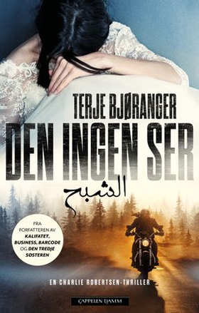 Den ingen ser (ebok) av Terje Bjøranger