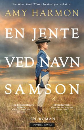 En jente ved navn Samson (ebok) av Amy Harmon