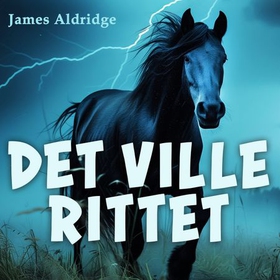 Det ville rittet (lydbok) av James Aldridge