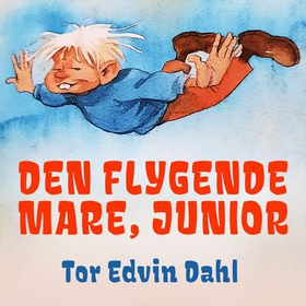 Den flygende mare, junior (lydbok) av Tor Edvin Dahl