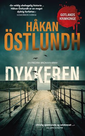 Dykkeren (ebok) av Håkan Östlundh