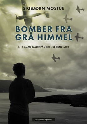 Bomber fra grå himmel - en roman basert på virkelige hendelser (ebok) av Sigbjørn Mostue