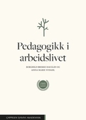 Pedagogikk i arbeidslivet