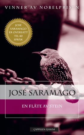 En flåte av stein (ebok) av José Saramago