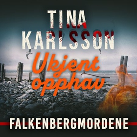 Ukjent opphav (lydbok) av Tina Karlsson