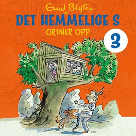 Det hemmelige S ordner opp (lydbok) av Enid Blyton