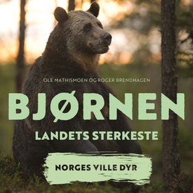 Bjørnen