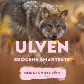 Ulven