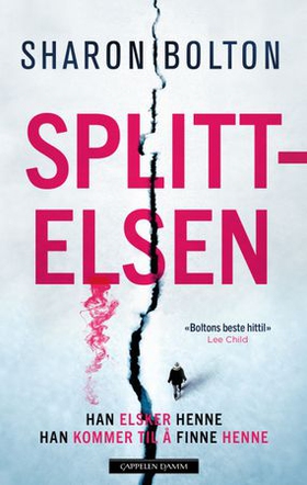 Splittelsen (ebok) av Sharon Bolton