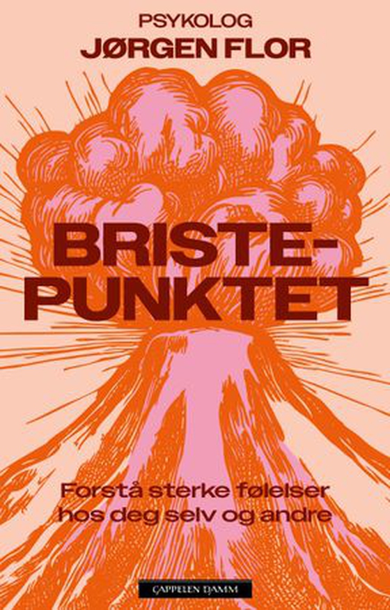 Bristepunktet