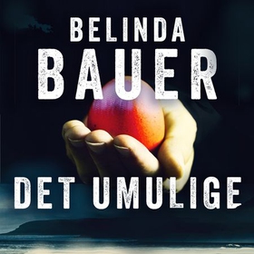 Det umulige (lydbok) av Belinda Bauer