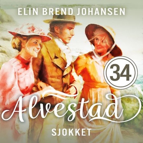 Sjokket (lydbok) av Elin Brend Johansen