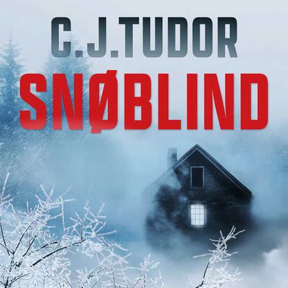 Snøblind (lydbok) av C.J. Tudor
