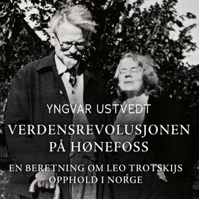 Verdensrevolusjonen på Hønefoss
