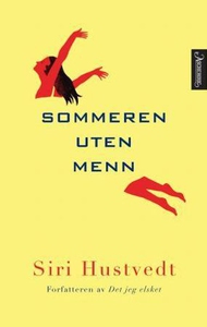 Sommeren uten menn (ebok) av Siri Hustvedt
