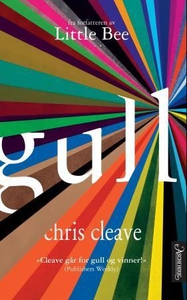 Gull (ebok) av Chris Cleave