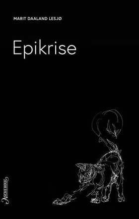 Epikrise - roman (ebok) av Marit Daaland Lesjø