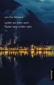 Lyden av stein som flyttar seg under vatn (eb