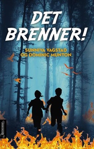 Det brenner! (ebok) av Sunniva Vagstad, Domin