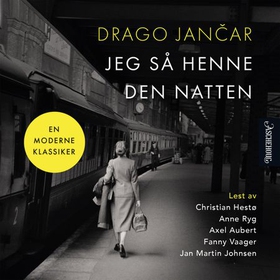 Jeg så henne den natten (lydbok) av Drago Jančar