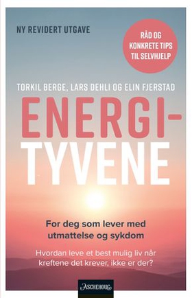Energityvene - utmattelse i sykdom og hverdag (ebok) av Torkil Berge