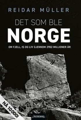 Det som ble Norge - om fjell, is og liv gjennom 2902 millioner år (ebok) av Reidar Müller
