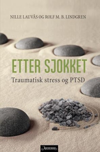 Etter sjokket (ebok) av Nille Lauvås, Rolf Ma