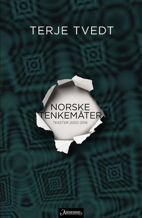 Norske tenkemåter - tekster 2002-2016 (ebok) av Terje Tvedt
