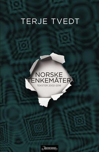 Norske tenkemåter (ebok) av Terje Tvedt