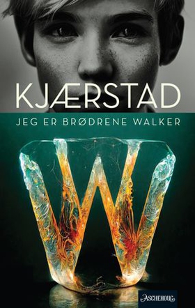 Jeg er brødrene Walker (ebok) av Jan Kjærstad