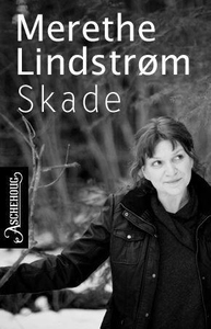 Skade (ebok) av Merethe Lindstrøm