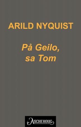 På Geilo, sa Tom (ebok) av Arild Nyquist