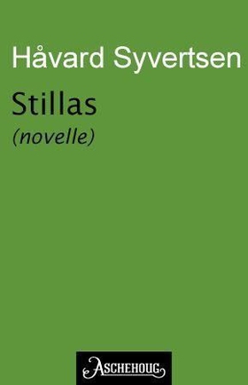 Stillas (ebok) av Håvard Syvertsen