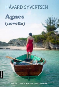 Agnes (ebok) av Håvard Syvertsen