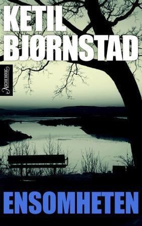 Ensomheten - roman (ebok) av Ketil Bjørnstad