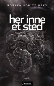 Her inne et sted (ebok) av Roskva Koritzinsky