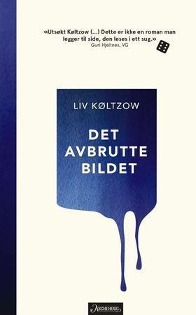Det avbrutte bildet (ebok) av Liv Køltzow