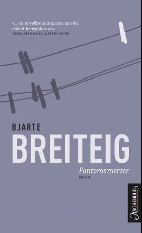 Fantomsmerter (ebok) av Bjarte Breiteig