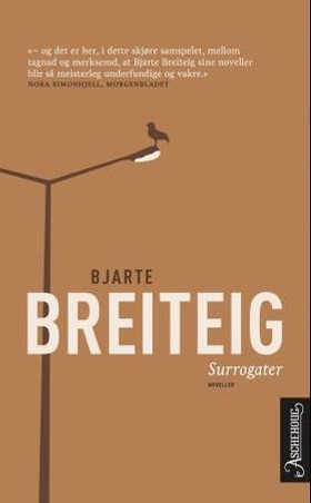 Surrogater (ebok) av Bjarte Breiteig