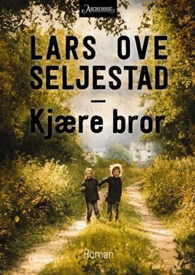 Kjære bror - roman (ebok) av Lars Ove Seljestad