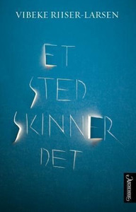 Et sted skinner det (ebok) av Vibeke Riiser-L